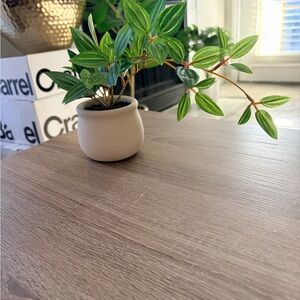 Faux Tabletop Green Plant in Beige Ceramic Pot